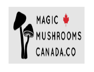 Magic Mushrooms Canada