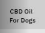 CBD Oil For Dogs