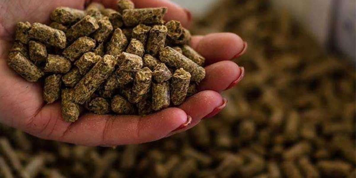 Animal Feed Antioxidants Market Share and Revenue Analysis After COVID-19, Till 2028